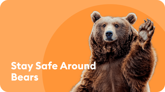 bear-safety