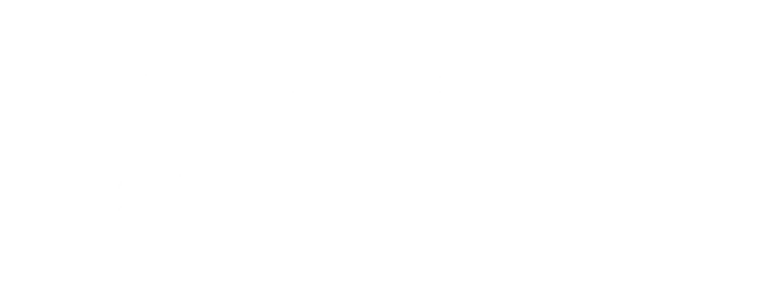 prediction guard
